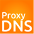 ProxyDNS logo