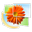 Windows Live Photo Gallery logo