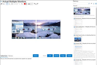 Actual Multiple Monitors - Flamory bookmarks and screenshots