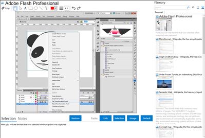 Adobe Flash Professional - Flamory bookmarks and screenshots