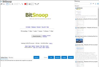 BitSnoop - Flamory bookmarks and screenshots