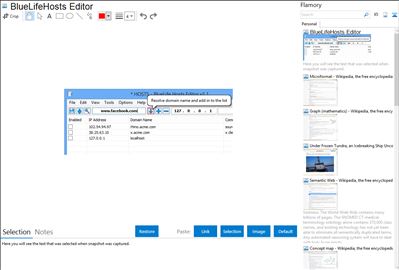 BlueLifeHosts Editor - Flamory bookmarks and screenshots
