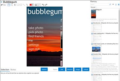 Bubblegum - Flamory bookmarks and screenshots