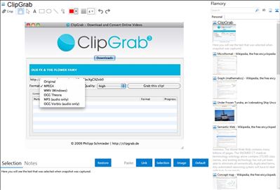 ClipGrab - Flamory bookmarks and screenshots