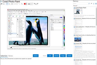 Corel Photo-Paint - Flamory bookmarks and screenshots