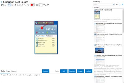 Cucusoft Net Guard - Flamory bookmarks and screenshots