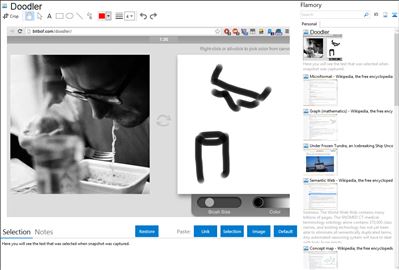 Doodler - Flamory bookmarks and screenshots
