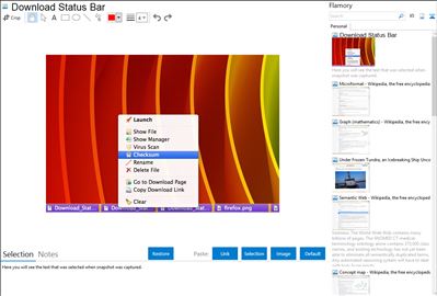 Download Status Bar - Flamory bookmarks and screenshots