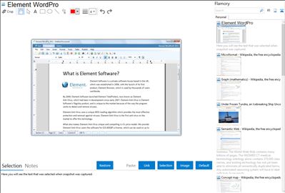 Element WordPro - Flamory bookmarks and screenshots