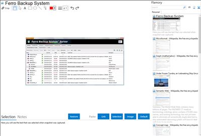 Ferro Backup System - Flamory bookmarks and screenshots