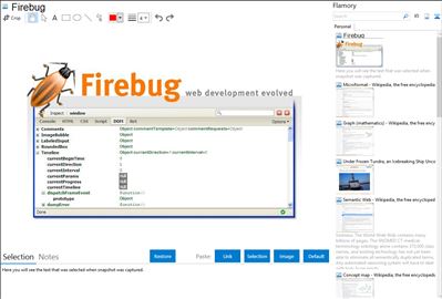 Firebug - Flamory bookmarks and screenshots