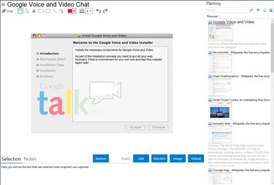 Google Voice and Video Chat - Flamory bookmarks and screenshots