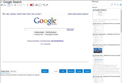 Google Search - Flamory bookmarks and screenshots