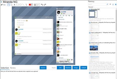 Miranda NG - Flamory bookmarks and screenshots