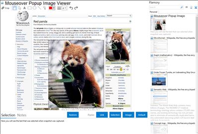 Mouseover Popup Image Viewer - Flamory bookmarks and screenshots