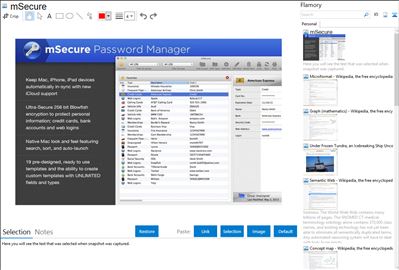 mSecure - Flamory bookmarks and screenshots