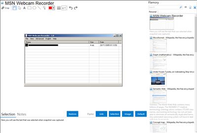 MSN Webcam Recorder - Flamory bookmarks and screenshots