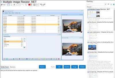 Multiple Image Resizer .NET - Flamory bookmarks and screenshots