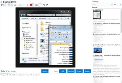 OpenDrive - Flamory bookmarks and screenshots