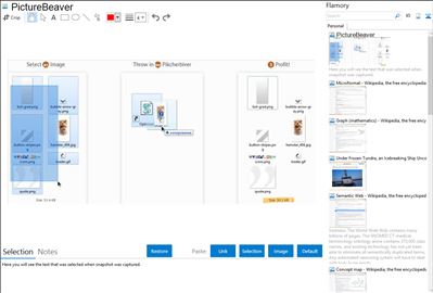 PictureBeaver - Flamory bookmarks and screenshots