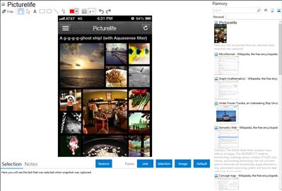 Picturelife - Flamory bookmarks and screenshots