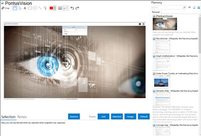 PontusVision - Flamory bookmarks and screenshots