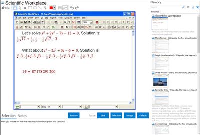 Scientific Workplace - Flamory bookmarks and screenshots