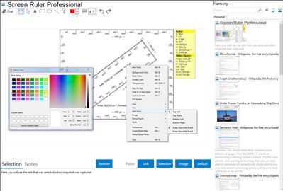 Screen Ruler Professional - Flamory bookmarks and screenshots