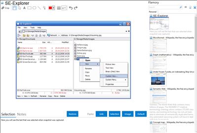 SE-Explorer - Flamory bookmarks and screenshots