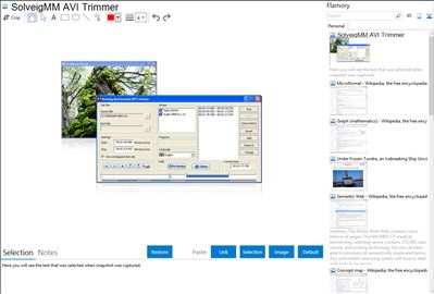 SolveigMM AVI Trimmer - Flamory bookmarks and screenshots