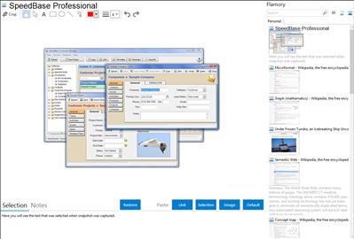 SpeedBase Professional - Flamory bookmarks and screenshots