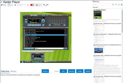 Spider Player - Flamory bookmarks and screenshots