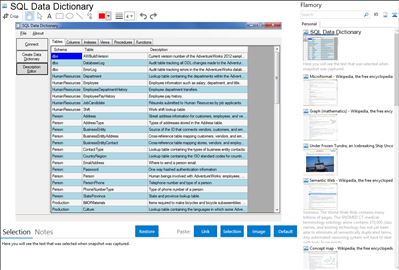 SQL Data Dictionary - Flamory bookmarks and screenshots