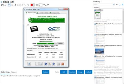 SSD Life - Flamory bookmarks and screenshots