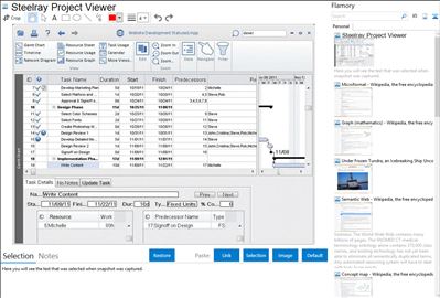 Steelray Project Viewer - Flamory bookmarks and screenshots