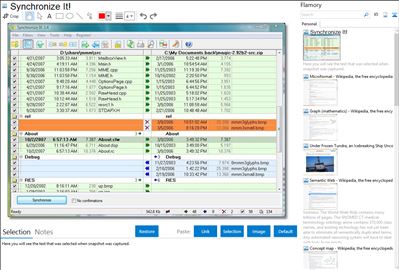 Synchronize It! - Flamory bookmarks and screenshots