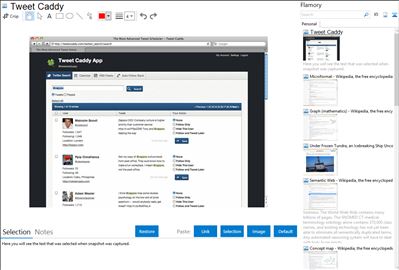 Tweet Caddy - Flamory bookmarks and screenshots