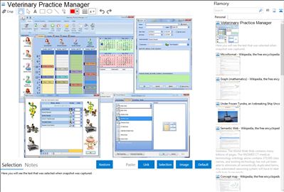 Veterinary Practice Manager - Flamory bookmarks and screenshots