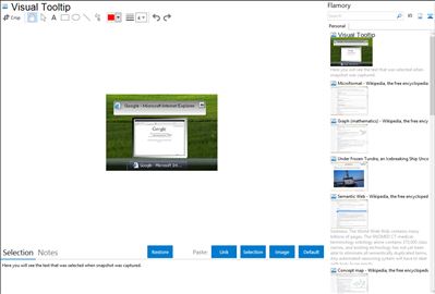 Visual Tooltip - Flamory bookmarks and screenshots
