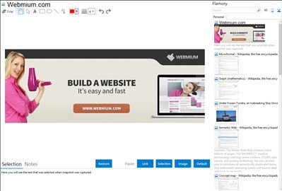 Webmium.com - Flamory bookmarks and screenshots
