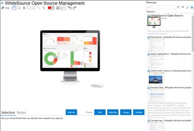 WhiteSource Open Source Management - Flamory bookmarks and screenshots