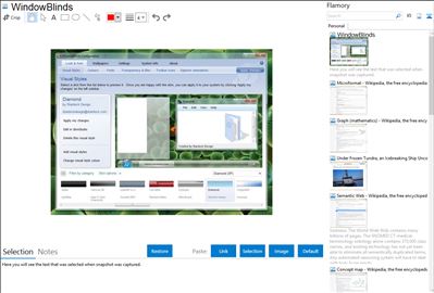 WindowBlinds - Flamory bookmarks and screenshots