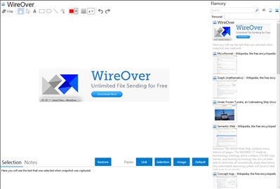 WireOver - Flamory bookmarks and screenshots