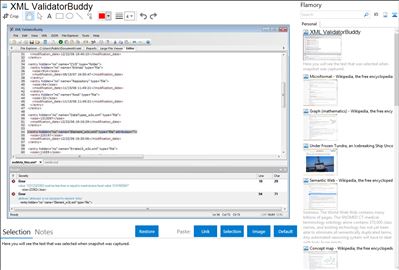 XML ValidatorBuddy - Flamory bookmarks and screenshots