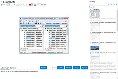 ExamXML - Flamory bookmarks and screenshots
