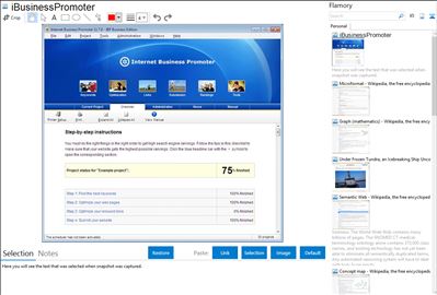 iBusinessPromoter - Flamory bookmarks and screenshots