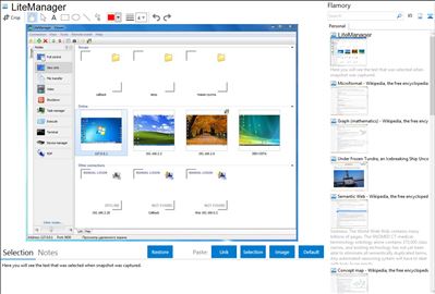 LiteManager - Flamory bookmarks and screenshots