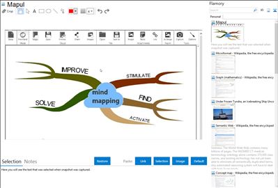 Mapul - Flamory bookmarks and screenshots