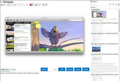 Minitube - Flamory bookmarks and screenshots