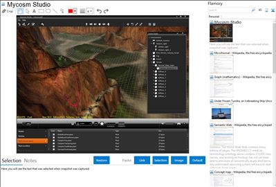 Mycosm Studio - Flamory bookmarks and screenshots